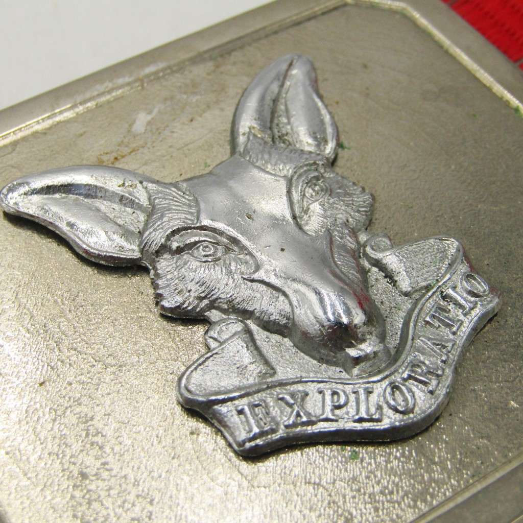 SA Intelligence Corps stable belt