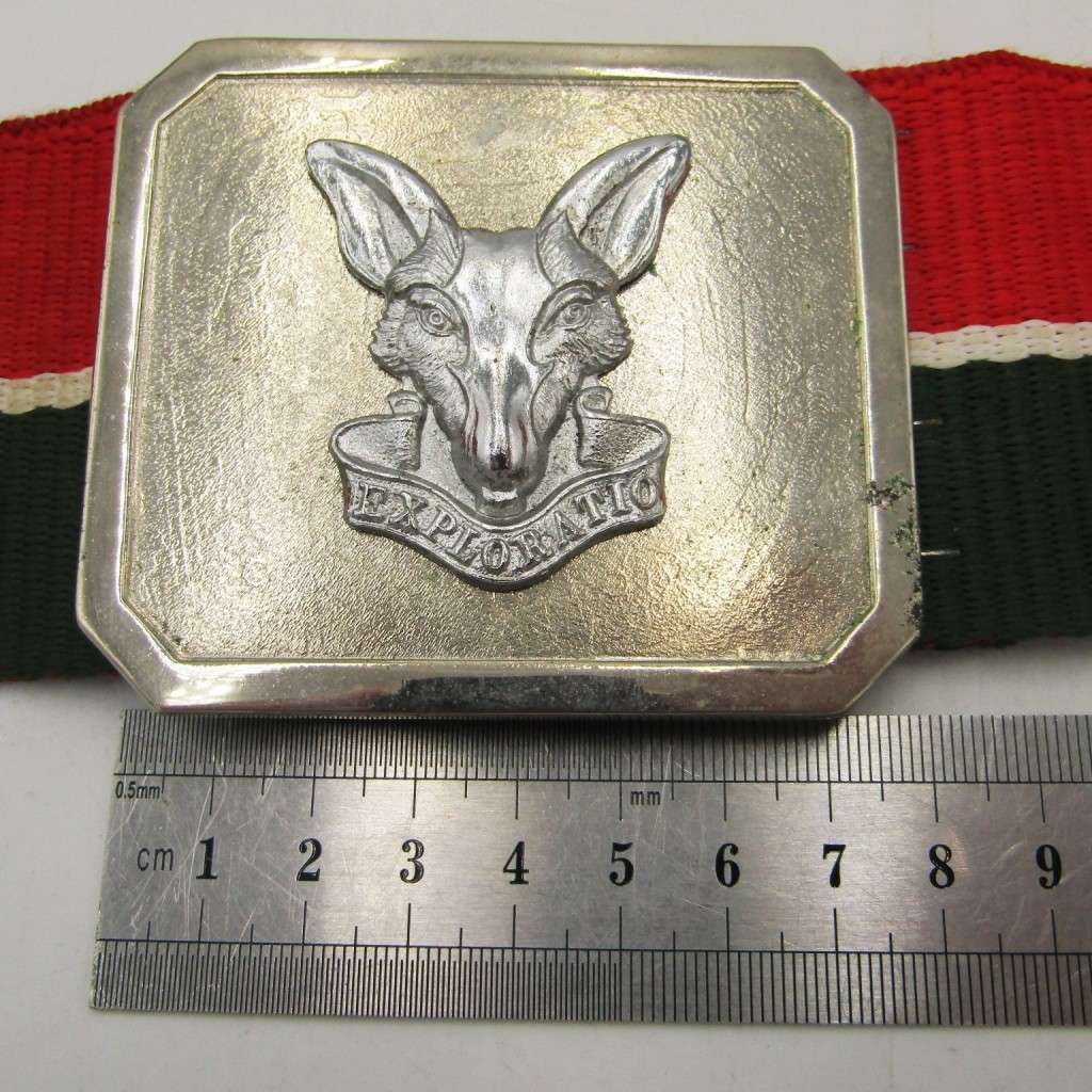 SA Intelligence Corps stable belt
