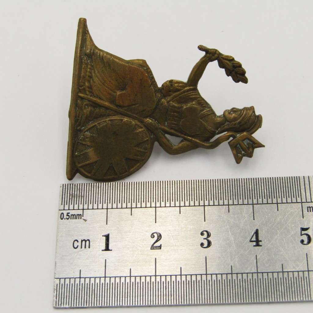 Royal Norfolk regiment cap badge