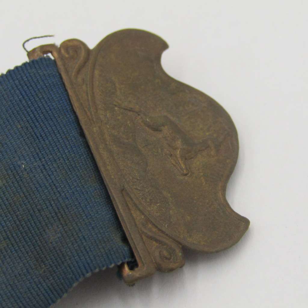 1910 Union of South Africa commemorative medal