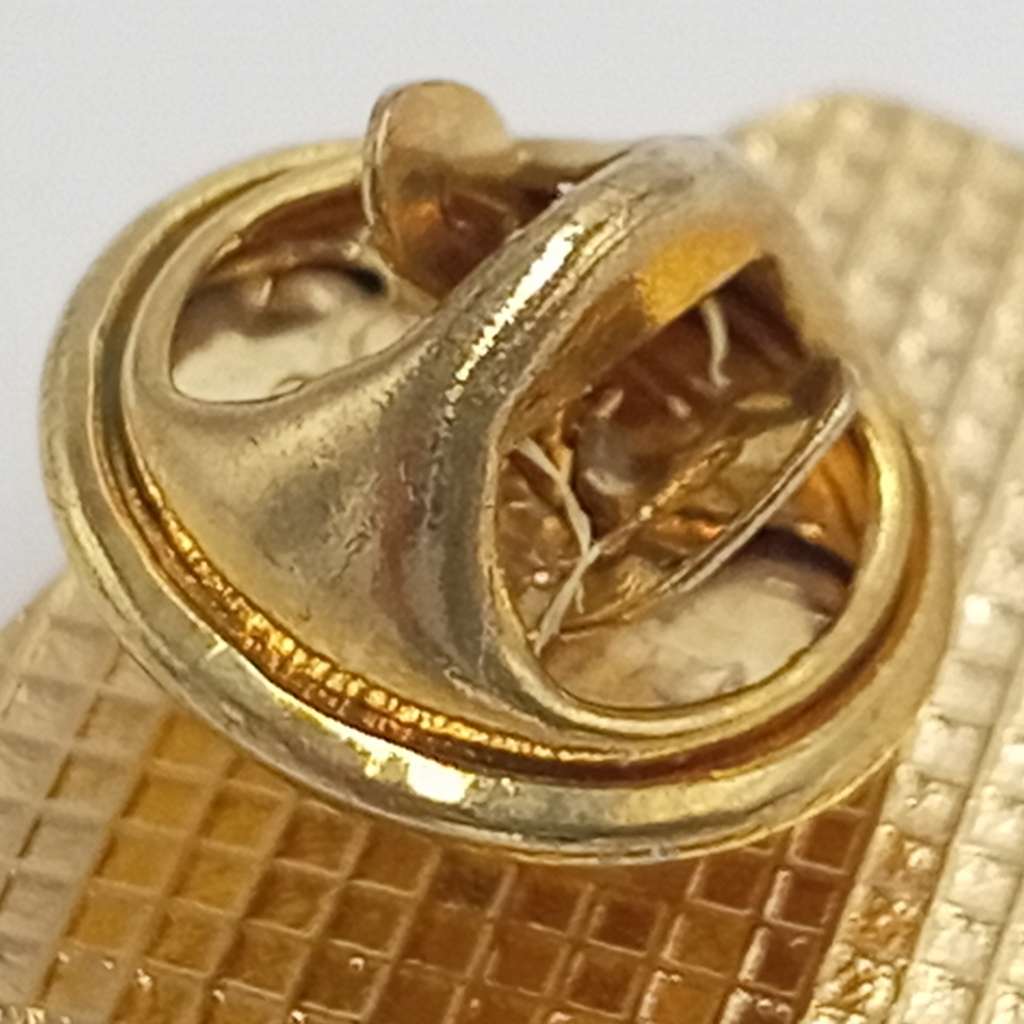 SA Rugby Springboks lapel pin badge