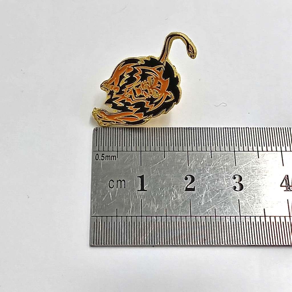 LIONS Rugby pin badge