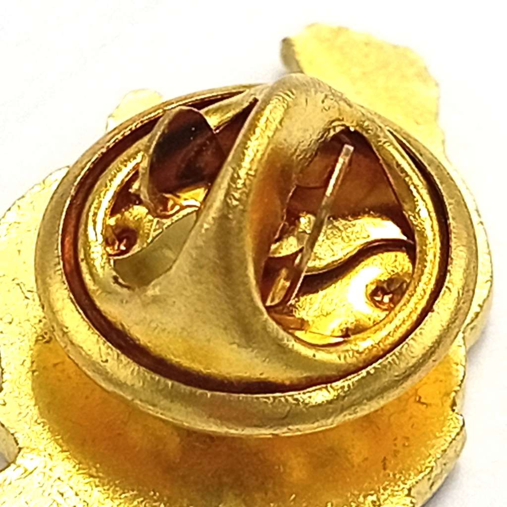 LIONS Rugby pin badge