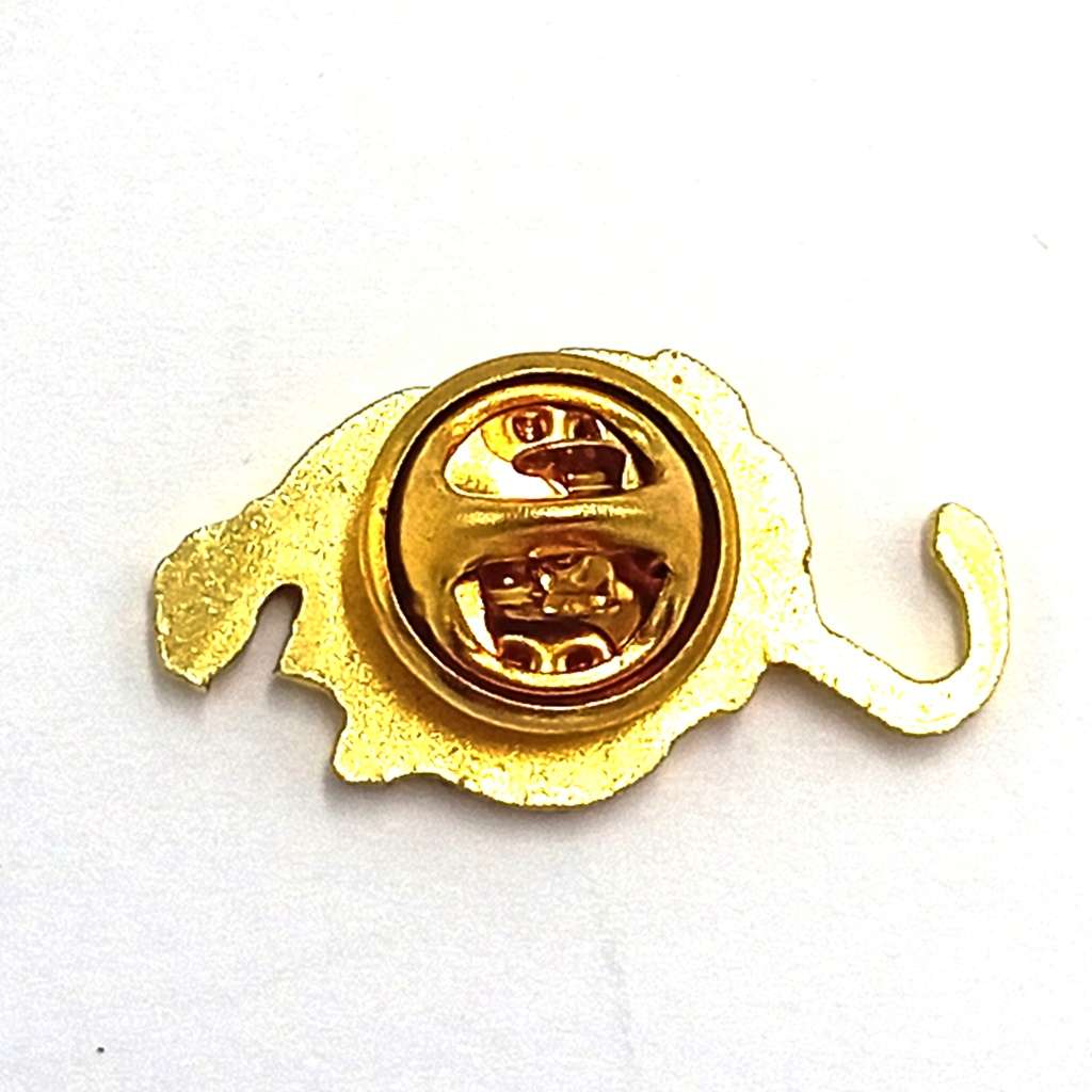 LIONS Rugby pin badge