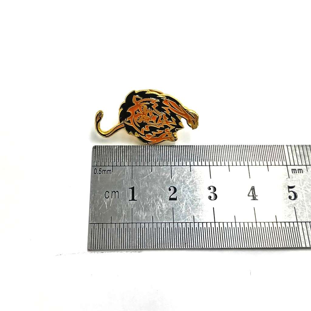 LIONS Rugby pin badge