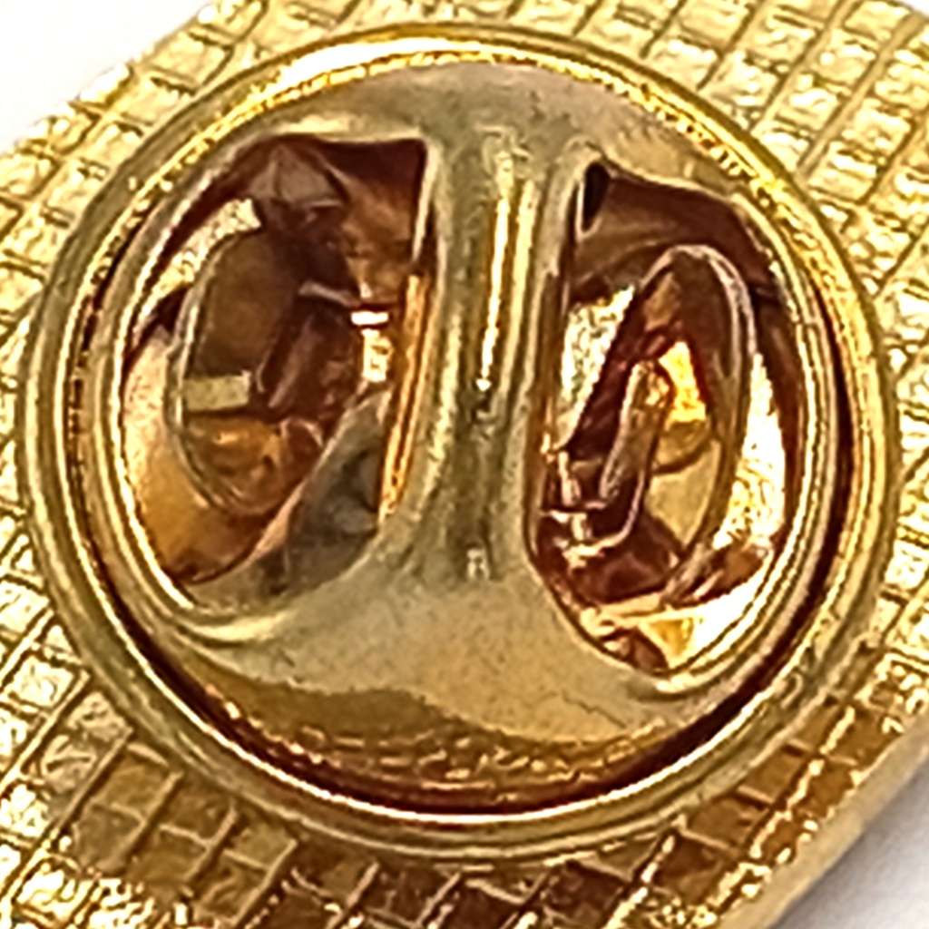 SA Rugby Springboks lapel pin badge