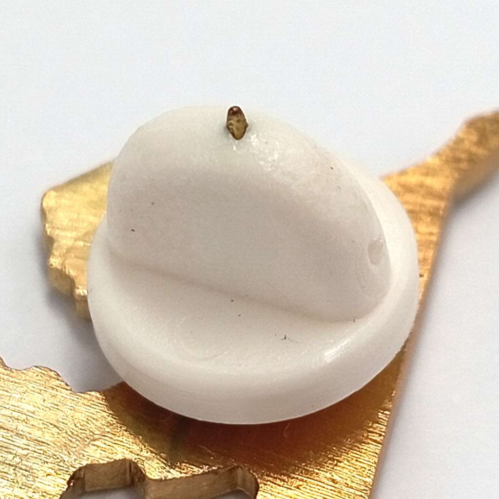 SA Rugby Springboks lapel pin badge