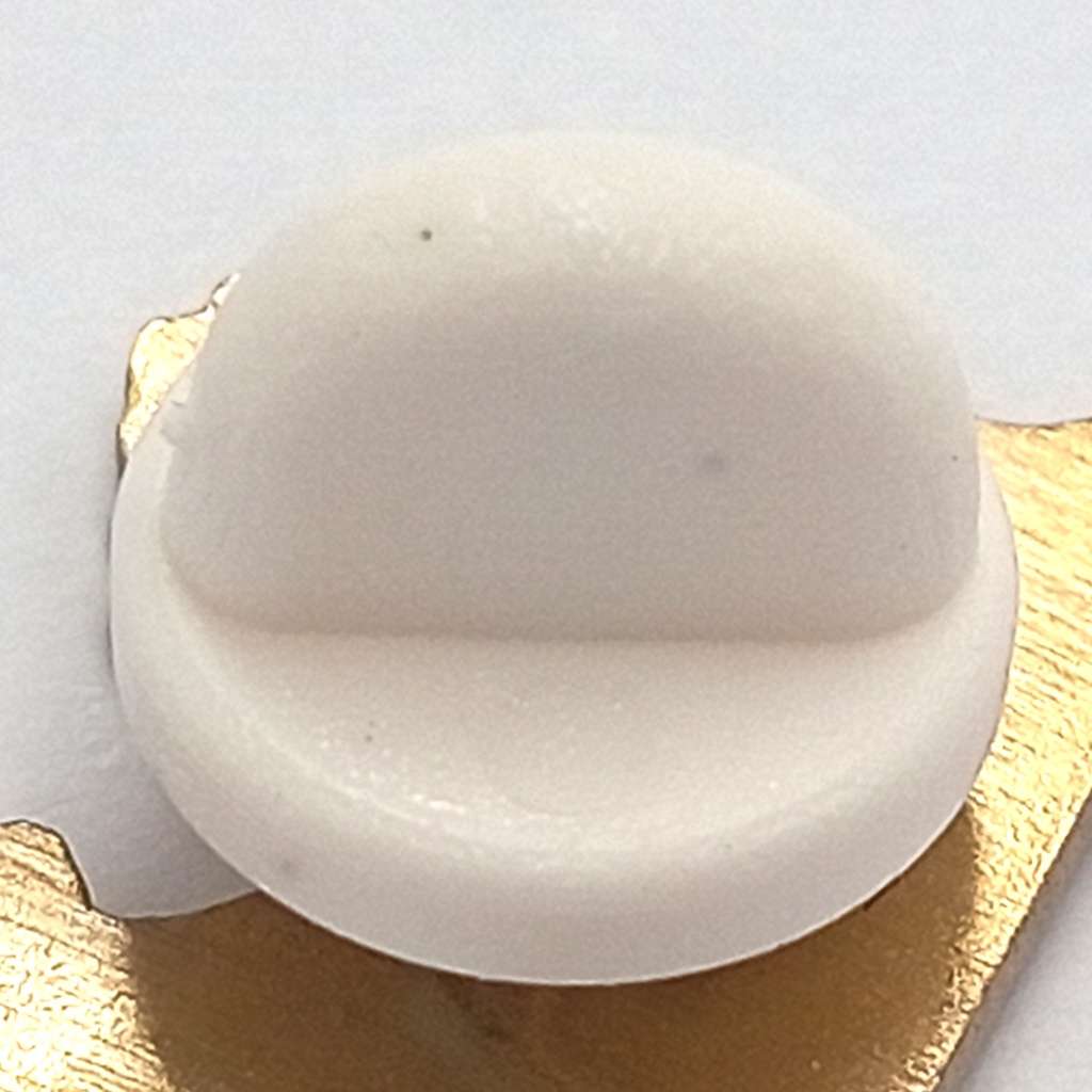 SA Rugby Springboks lapel pin badge