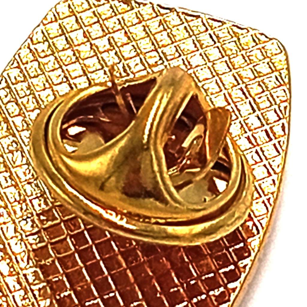 SA Rugby Springboks lapel pin badge