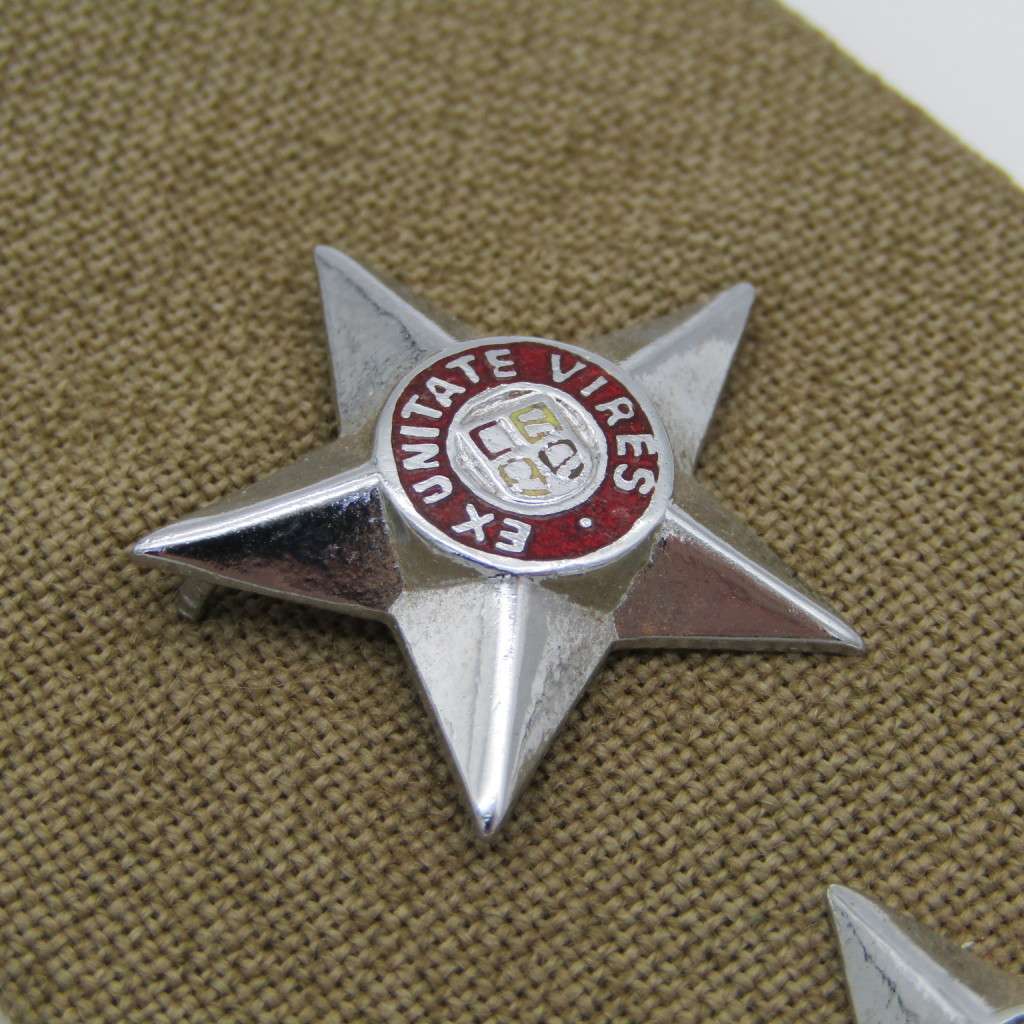 Pair of SADF Lieutenant Step-outs rank epaulettes