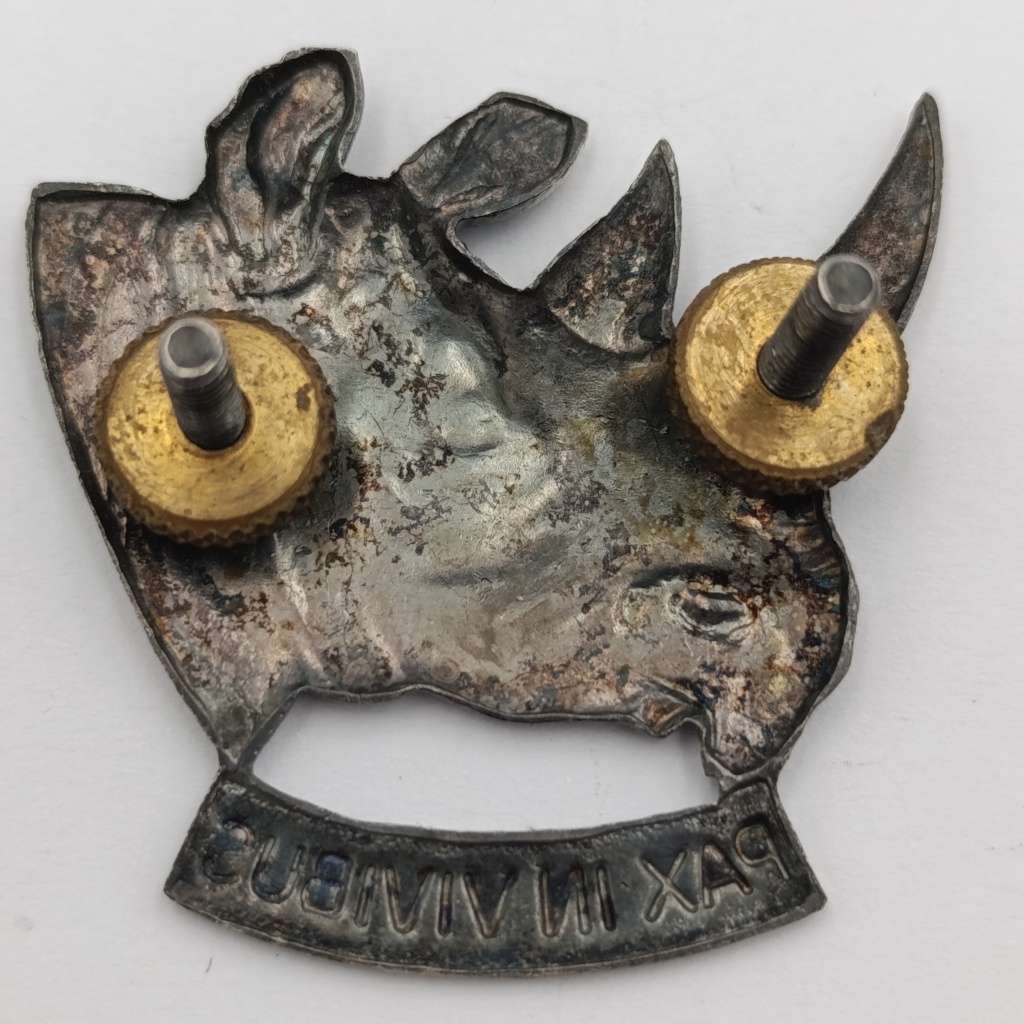 SWA 101 Battalion cap badge