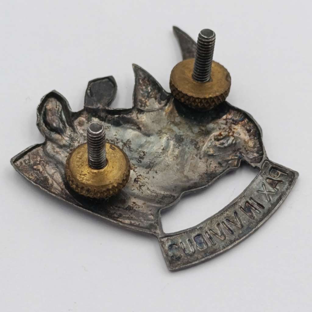 SWA 101 Battalion cap badge