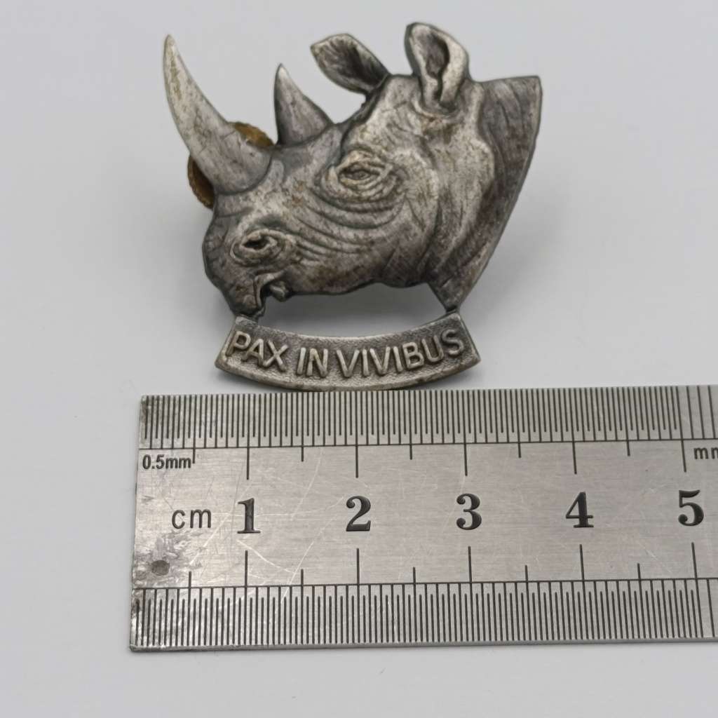 SWA 101 Battalion cap badge