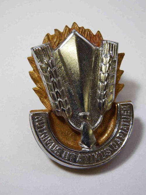 SA catering corps cap badge
