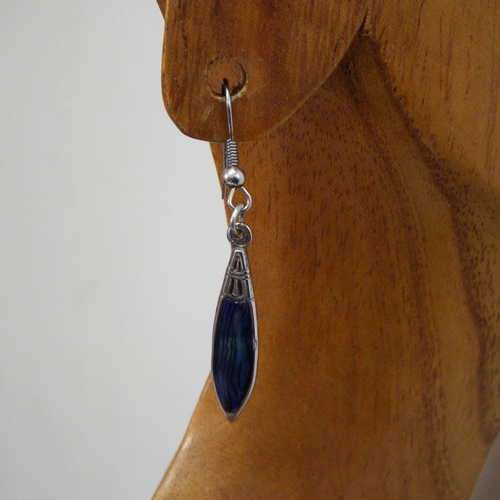 Pair of Paua shell earrings