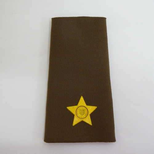 SADF one pip Lieutenant epaulette - tupperware