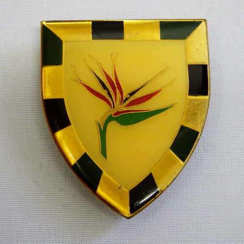 6 SA Infantry shoulder flash