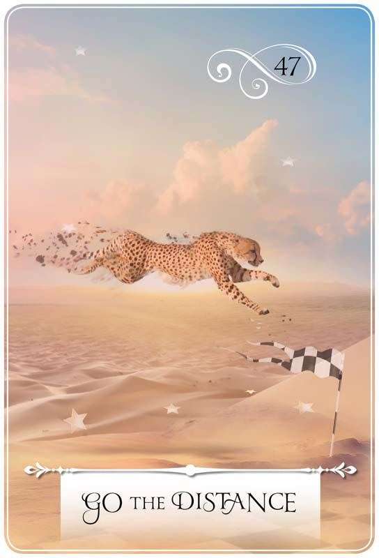 Wisdom Of The Oracle 52 Cards Deck by Colette Baron-Riad