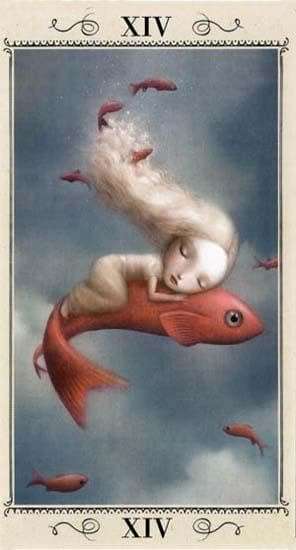 NICOLETTA CECCOLI TAROT 78 CARDS DECK