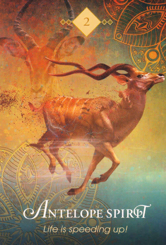 THE SPIRIT ANIMAL 68 ORACLE CARDS DECK