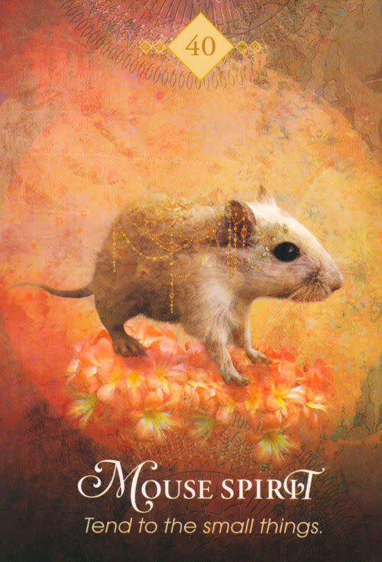 THE SPIRIT ANIMAL 68 ORACLE CARDS DECK