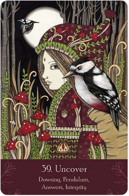 UNIVERSAL FOLK ORACLE CARDS DECK