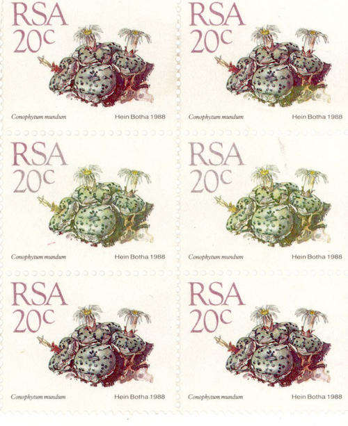 1988 20c Colour ERRORs