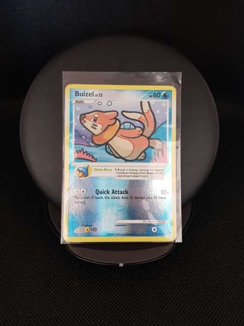 Pokemon TCG - Buizel Holo NM/M