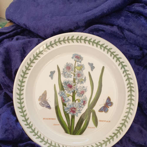 PORTMEIRON! Botanical plate 1