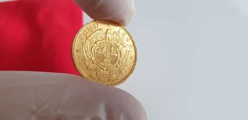 Kruger Pond Rand Gold - RARE Double Shaft - 1892 Gold Coin 1 Pond Kruger Rand Gold Pond