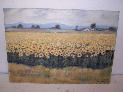 a host of golden sunflowers ... Stan Scott !!!