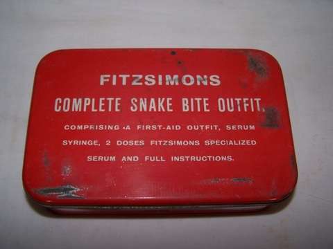 snake bite outfit ... interesting !!!