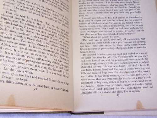 the honey bird - stuart cloete !!!