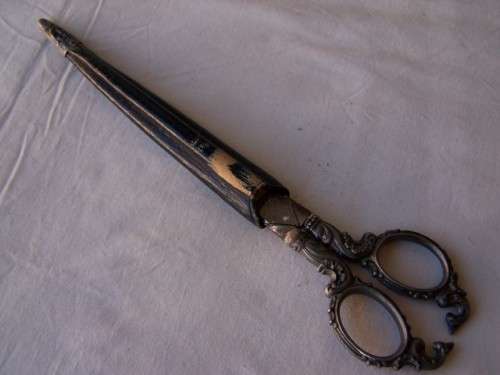scissors ... in a scabbard