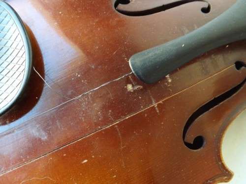 violin ... frank renier in a battered case !!!