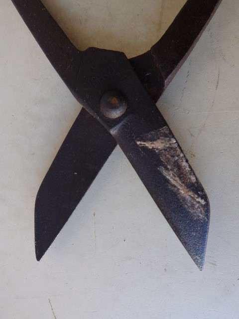 snips ... 2 of them !!!