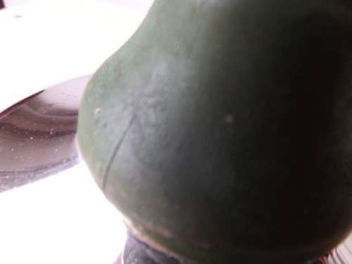 lamp ... everbright 1920`s? !!!