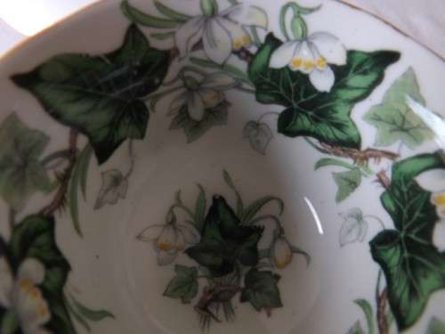 royal albert demitasse duo ... ivy lea !!!