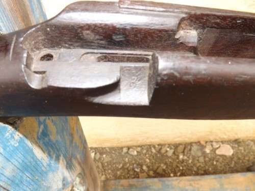 butt #2 ... of a rifle !!!