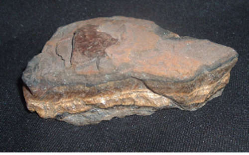 ROUGH TIGERS EYE  :PROTECTIVE STONE ELIMINATES THE "BLUES "AND BRINGS OPTIMISM