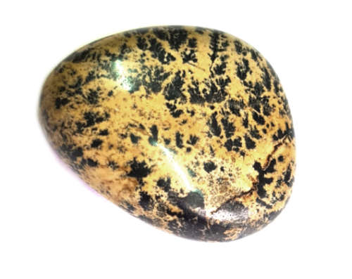 Dendrite Agate flat tumble, 30mm Stone of Plentitude