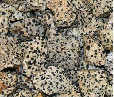 Dalmatian Jasper Rough  2cm - 3cm