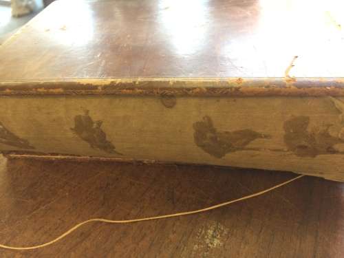 Antique leather book of Shakespeare's plays