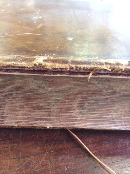 Antique leather book of Shakespeare's plays