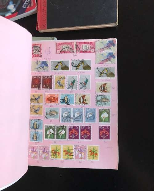 Box lot with random odds and ends R1 Start