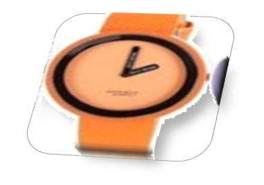 Europe UNISEX watch - Orange