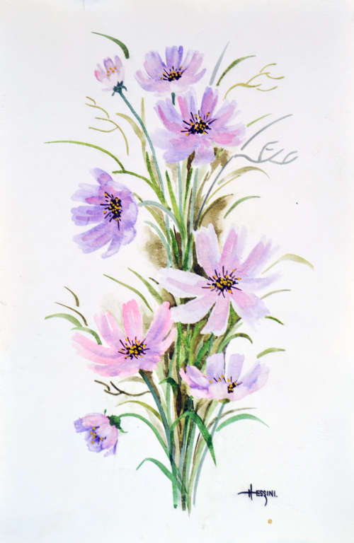 "Cosmos" - original watercolours