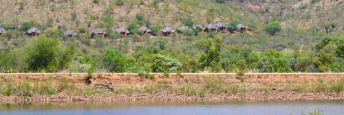 4 night stay @ Mabalingwe Nature Reserve, 26-30 November 2018 (Sleep 6)