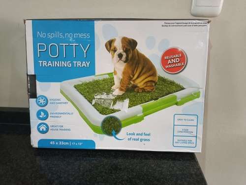 Potty Training dog tray