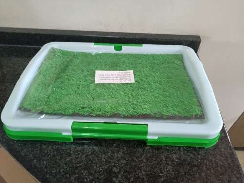 Potty Training dog tray
